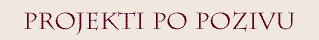 Projekti po pozivu